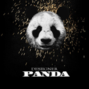 Desiigner - Panda [Ngaaka Blindé King Baba Mix]