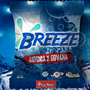 Album “Breeze” by Aidonia