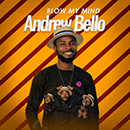 Album “Blow My Mind” by Andrew Bello