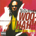 Album “Woo Hah!! Got You All In Check” by Busta Rhymes