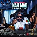 Album “Nah Mad (Ova Nuh Gyal)” by Munga Honorable
