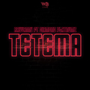 Album “Tetema” by Rayvanny